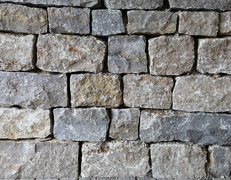 Muschelkalk aus Deutschland Bild 3