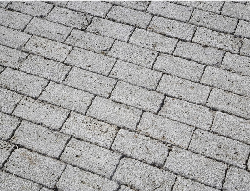 Muschelkalk aus Deutschland Bild 6